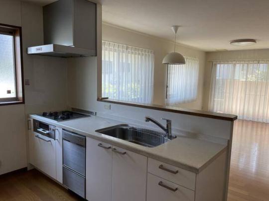 �V�X�e���L�b�`��