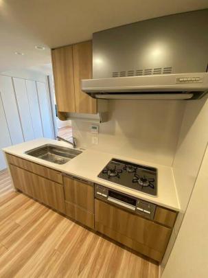 �V�X�e���L�b�`��