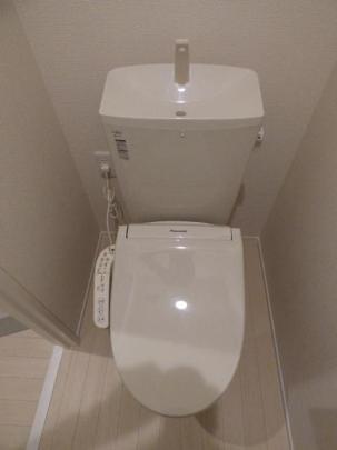 �������֍�