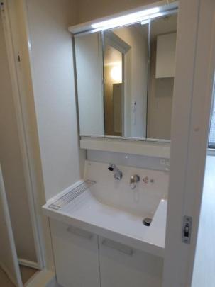 �l�C�̓Ɨ����ʏ�