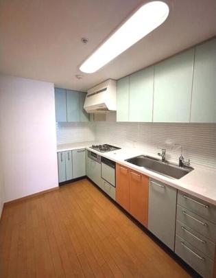 �V�X�e���L�b�`��