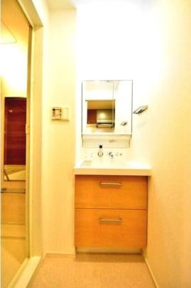 �l�C�ȓƗ����ʑ�ł�