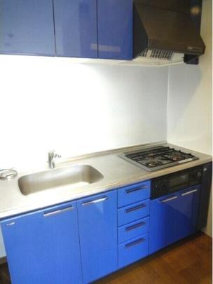 �V�X�e���L�b�`��