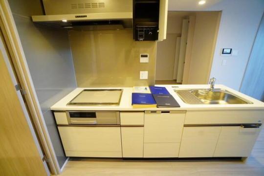 �V�X�e���L�b�`���ł�