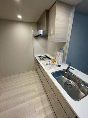 �V�X�e���L�b�`��