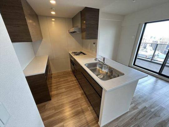 �l�C�̓Ɨ����ʏ�