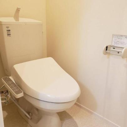 �l�C�̓Ɨ����ʏ�