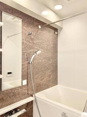 �l�C�̓Ɨ����ʏ�