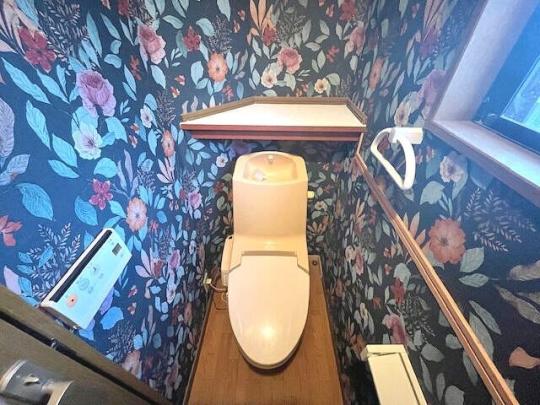 �������֍�