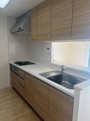 �V�X�e���L�b�`��