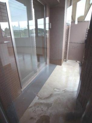 �o���R�j�[