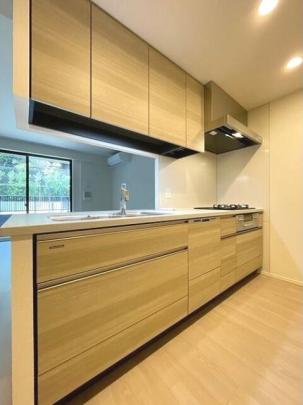 �V�X�e���L�b�`���ł�