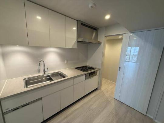 �V�X�e���L�b�`���ł�