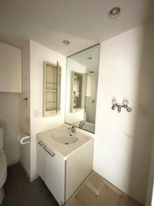 �l�C�̓Ɨ����ʏ�