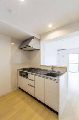 �V�X�e���L�b�`���ł�