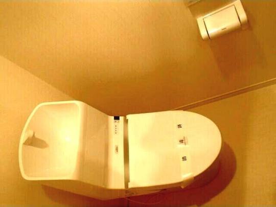 �������֍�����