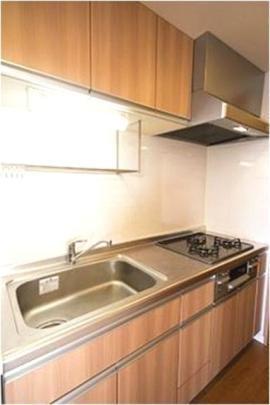 �V�X�e���L�b�`��