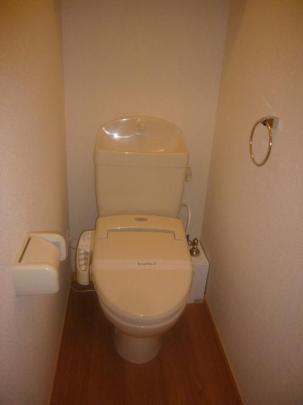 �������֍�