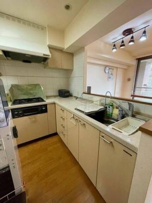 �V�X�e���L�b�`���ł�