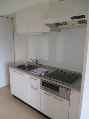 �V�X�e���L�b�`���ł�