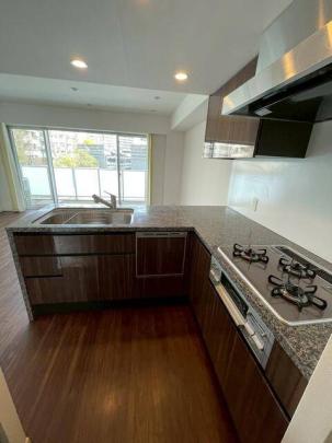 �V�X�e���L�b�`���ł�