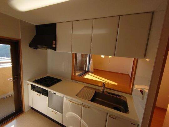 �V�X�e���L�b�`���ł�