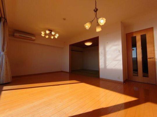 �G�A�R���t���ł�