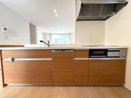 �V�X�e���L�b�`��