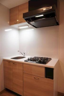 �V�X�e���L�b�`��