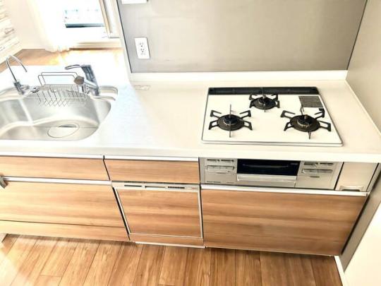 �l�C�ȓƗ����ʑ�ł�