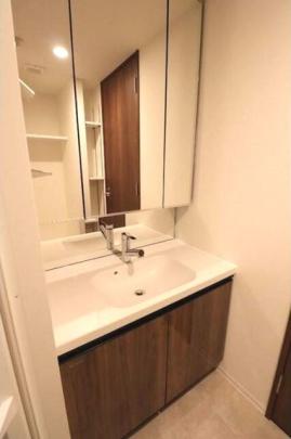 �l�C�ȓƗ����ʑ�ł�