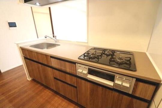 �V�X�e���L�b�`���ł�