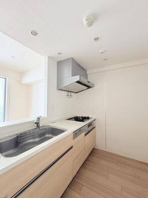 �V�X�e���L�b�`��