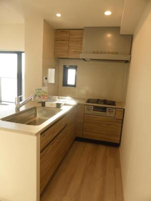 �V�X�e���L�b�`��