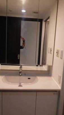 �Ɨ����ʑ�