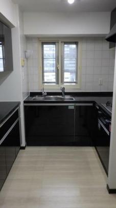 �V�X�e���L�b�`��