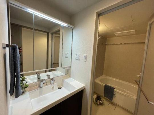 �l�C�ȓƗ����ʑ�ł�