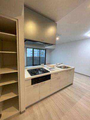 �V�X�e���L�b�`���ł�