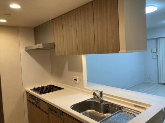 �V�X�e���L�b�`���ł�