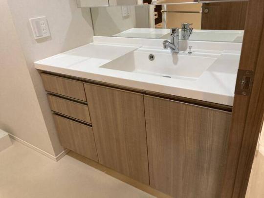 �l�C�ȓƗ����ʑ�ł�