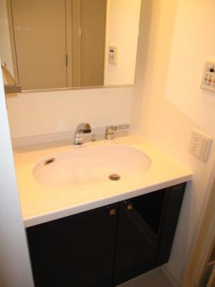 �l�C�ȓƗ����ʑ�ł�