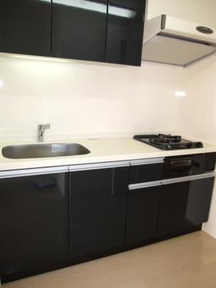 �l�C�ȓƗ����ʑ�ł�