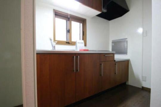 �V�X�e���L�b�`���ł�