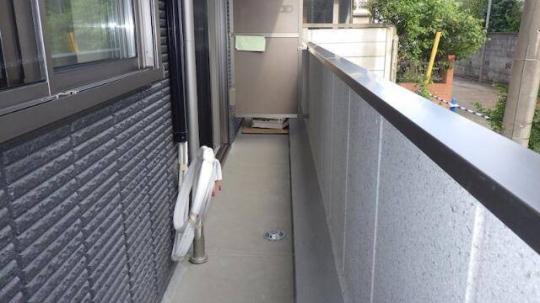 �l�C�̓Ɨ����ʏ�