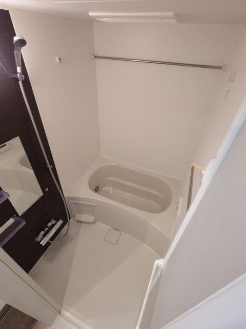 N-flats横浜関内Ⅱ 部屋画像
