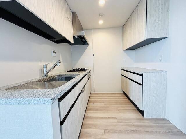 ドレッセタワー南町田グランベリーパーク 部屋画像