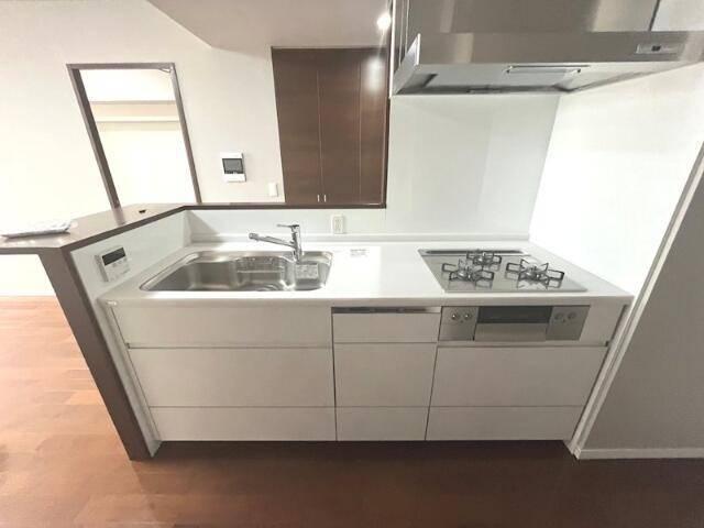 レジデンス・ザ・武蔵小杉 部屋画像