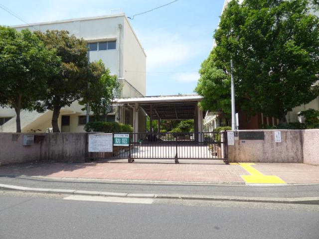 横浜市立大綱小学校：356m