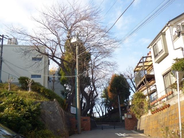横浜市立六つ川小学校：1235m