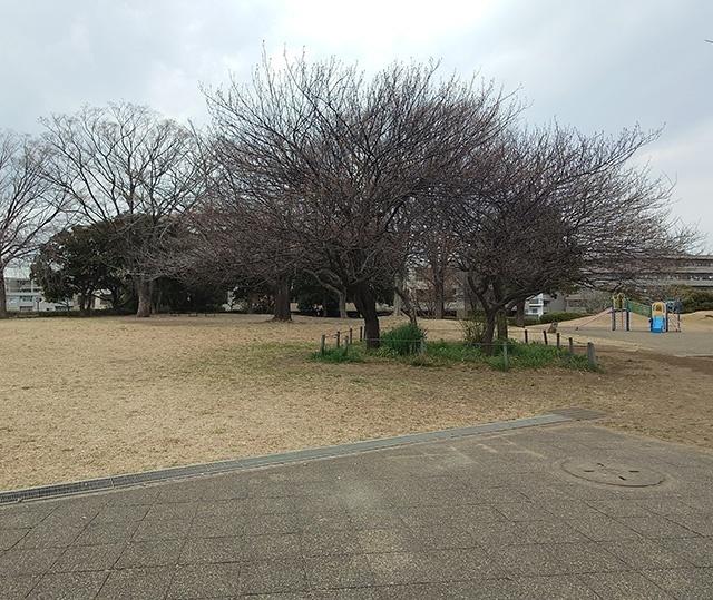 入江町公園：1195m